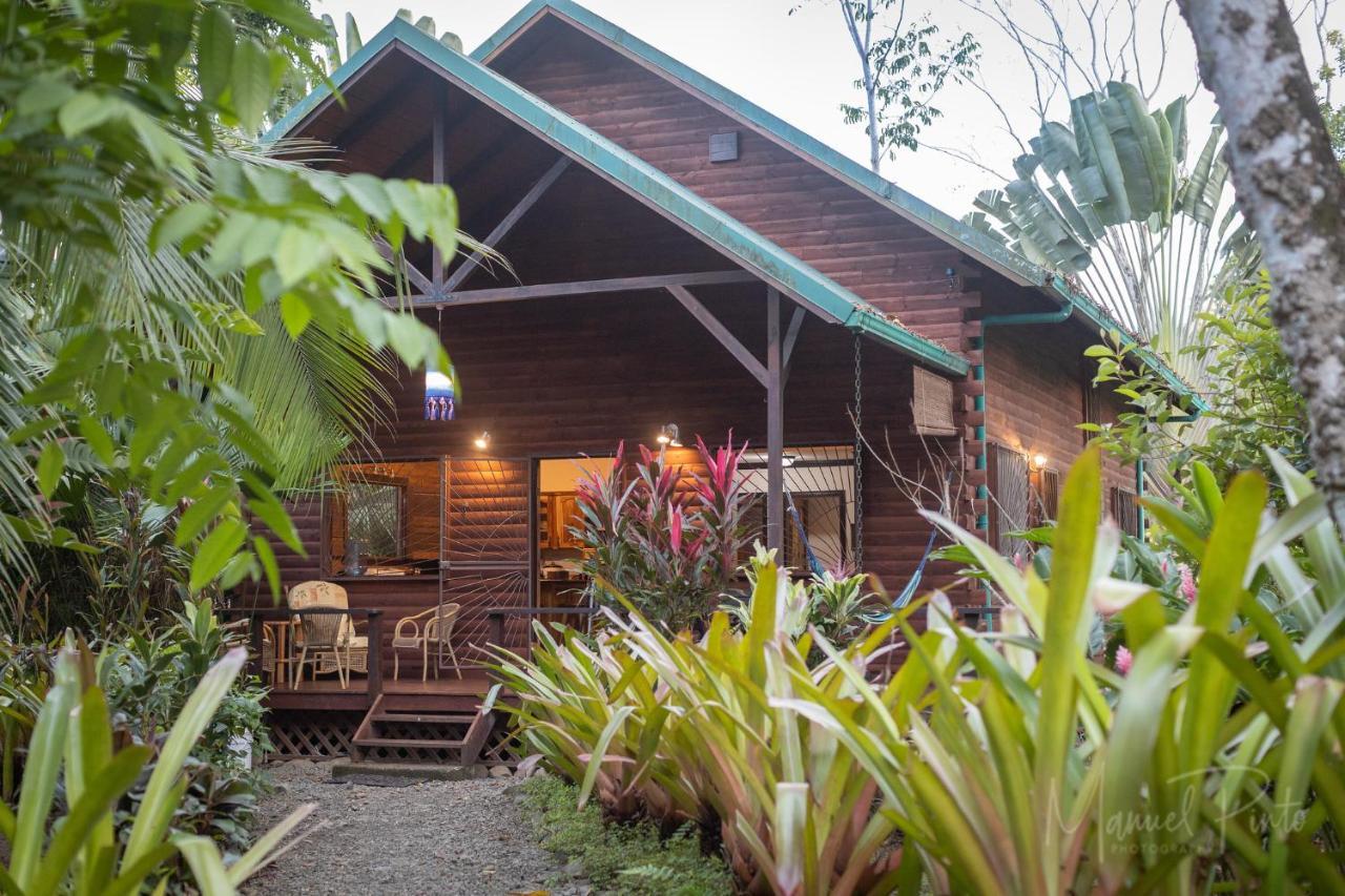Willa Casa Ylang In Black Sand Beach Puerto Viejo de Talamanca Zewnętrze zdjęcie